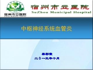 中枢神经系统血管炎梁彩霞