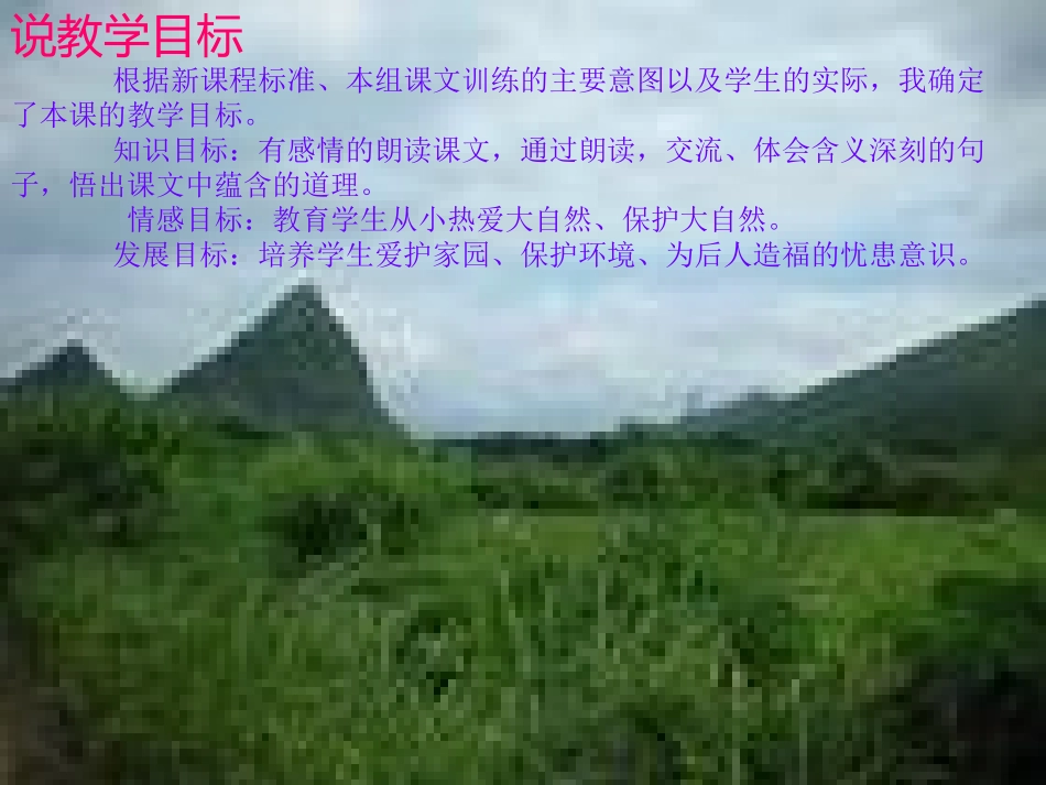 一个小村庄的故事 (2)_第3页