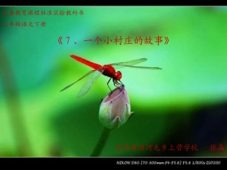 一个小村庄的故事 (2)