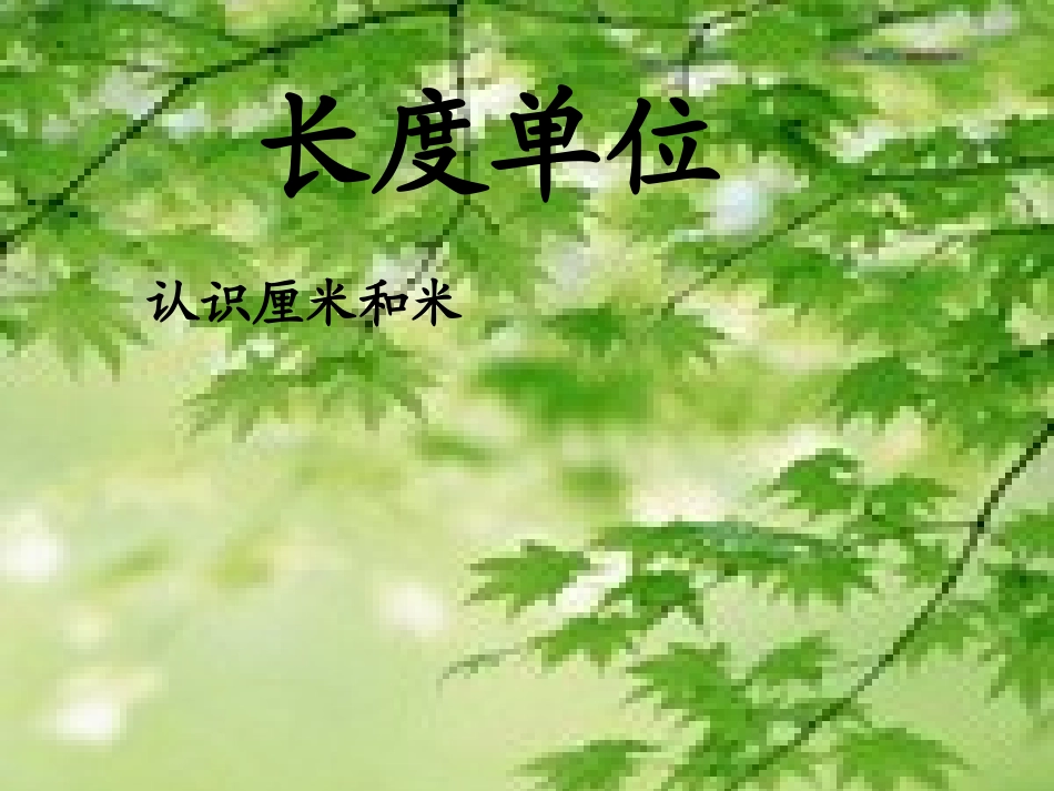 认识米、米和厘米 (2)_第1页