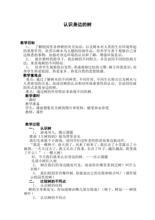 认识身边的树教案