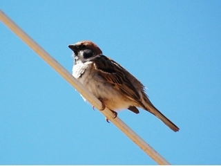 课件_明天不封阳台