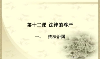 十二课法律的尊严