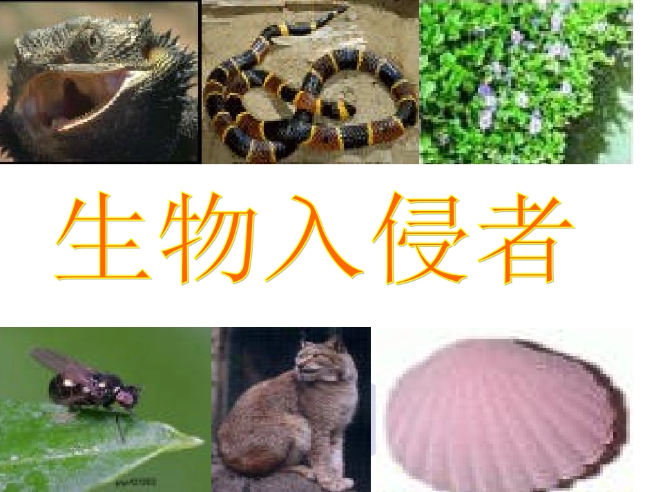 《生物入侵者》课件1_第2页