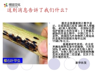 《生物入侵者》课件1