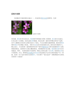 光影魔术手功能一反转片效果