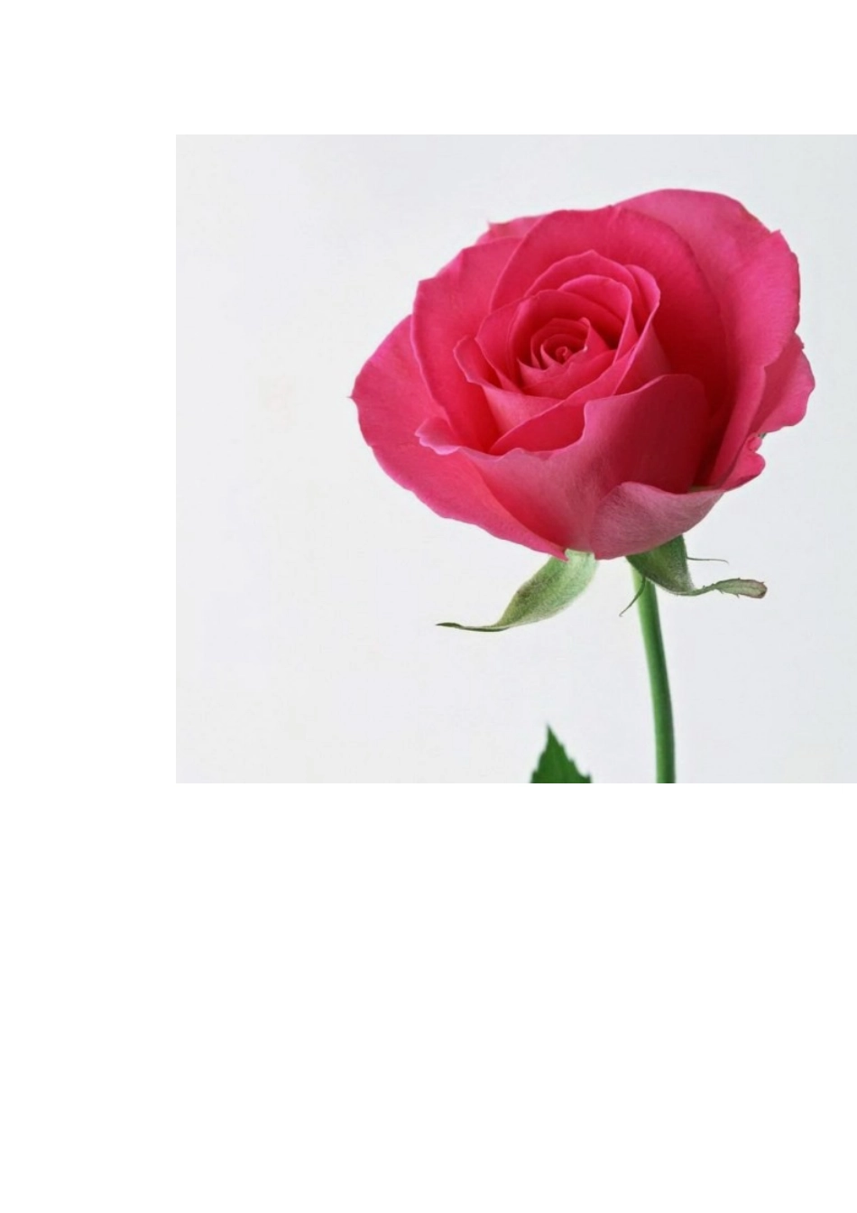 光大爱心学校_第2页