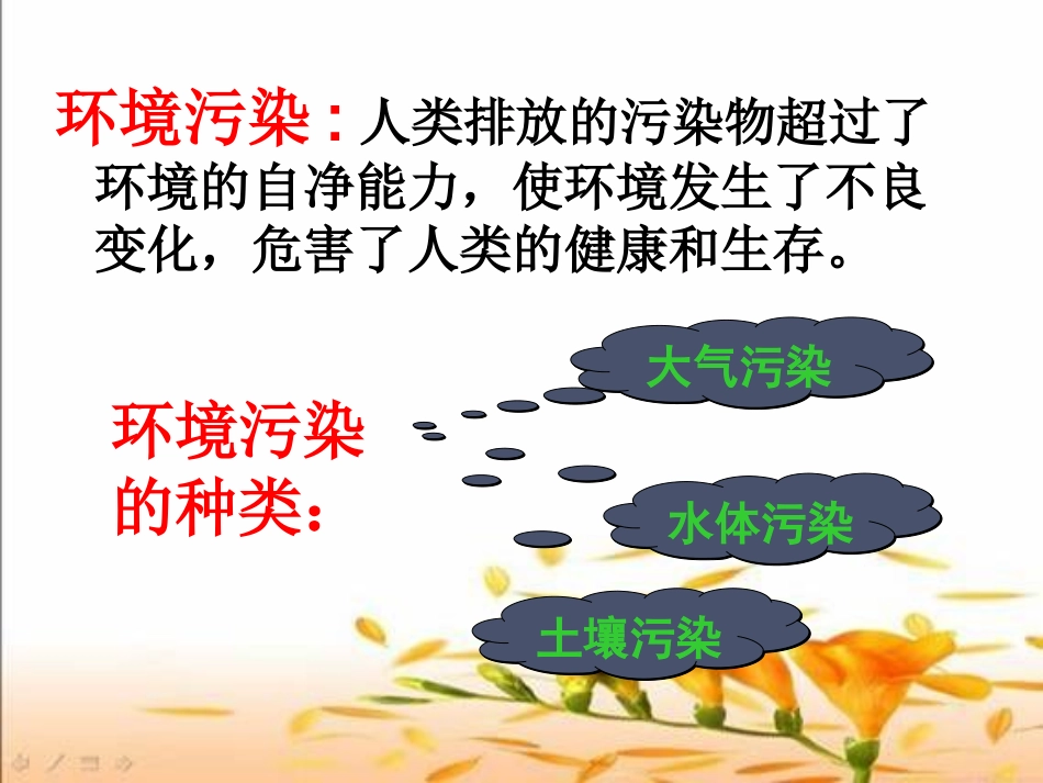 环境污染与防治复习_第2页