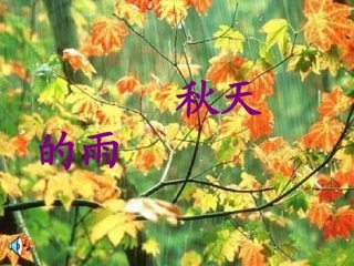 秋天的雨1课时