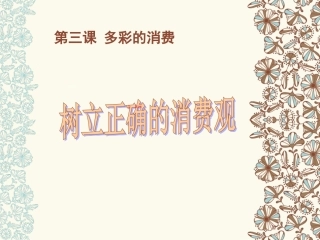 高中政治课件树立正确的消费观