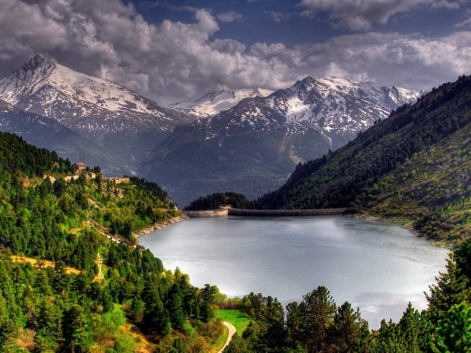 从森林里带走什么_第3页