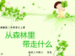 从森林里带走什么