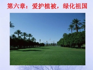 爱护植被，绿化祖国