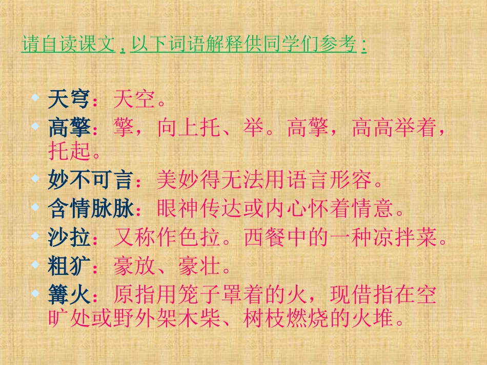 《彩色的非洲》PPT课件_第3页