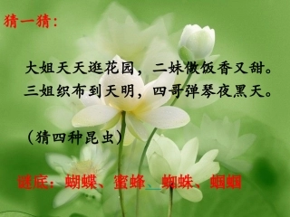 绿色蝈蝈PPT课件 (2)