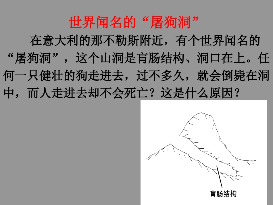 二氧化碳的性质和制法_第3页