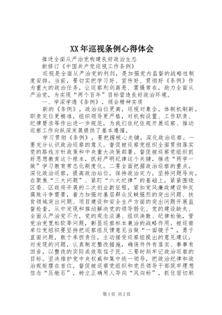 XX年巡视条例心得体会_2