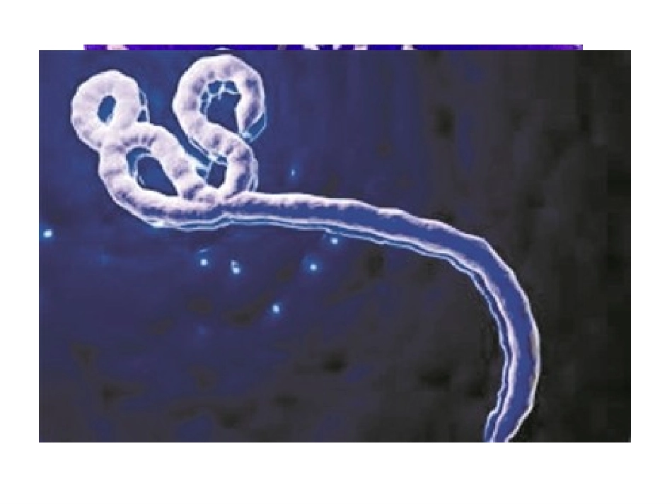 七年级生物上册_练习使用显微镜_课件_第2页