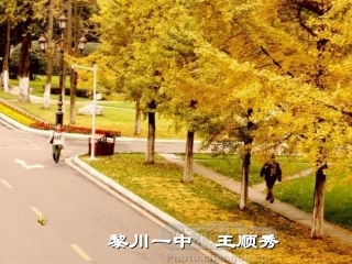 法不可违课件（七年级下册第七课）