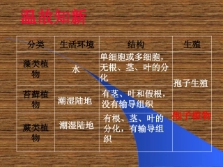 初一生物《种子植物》PPT课件(1)