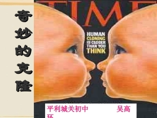 奇妙的克隆 (3)
