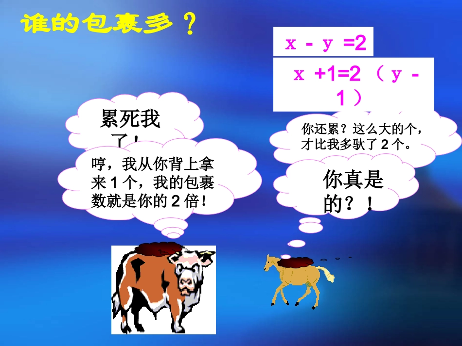 二元一次方程组 (2)_第3页