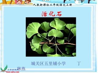 新课标人教版二年级语文上册《活化石》课件