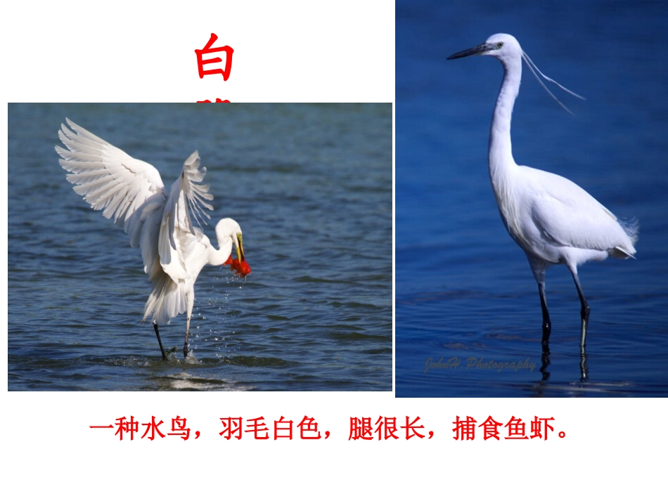 绝句(两个黄鹂鸣翠柳)_第2页