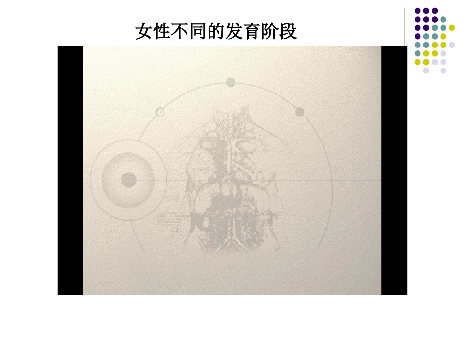 女生青春期生理健康教育_第2页