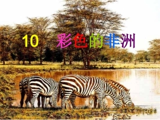 《彩色的非洲》