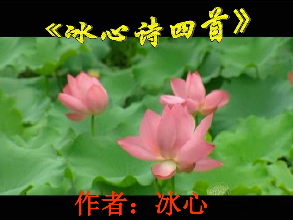 《冰心诗四首》课件_第2页