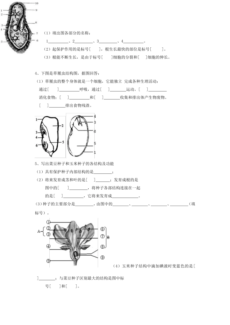 初中生物填图复习_第2页
