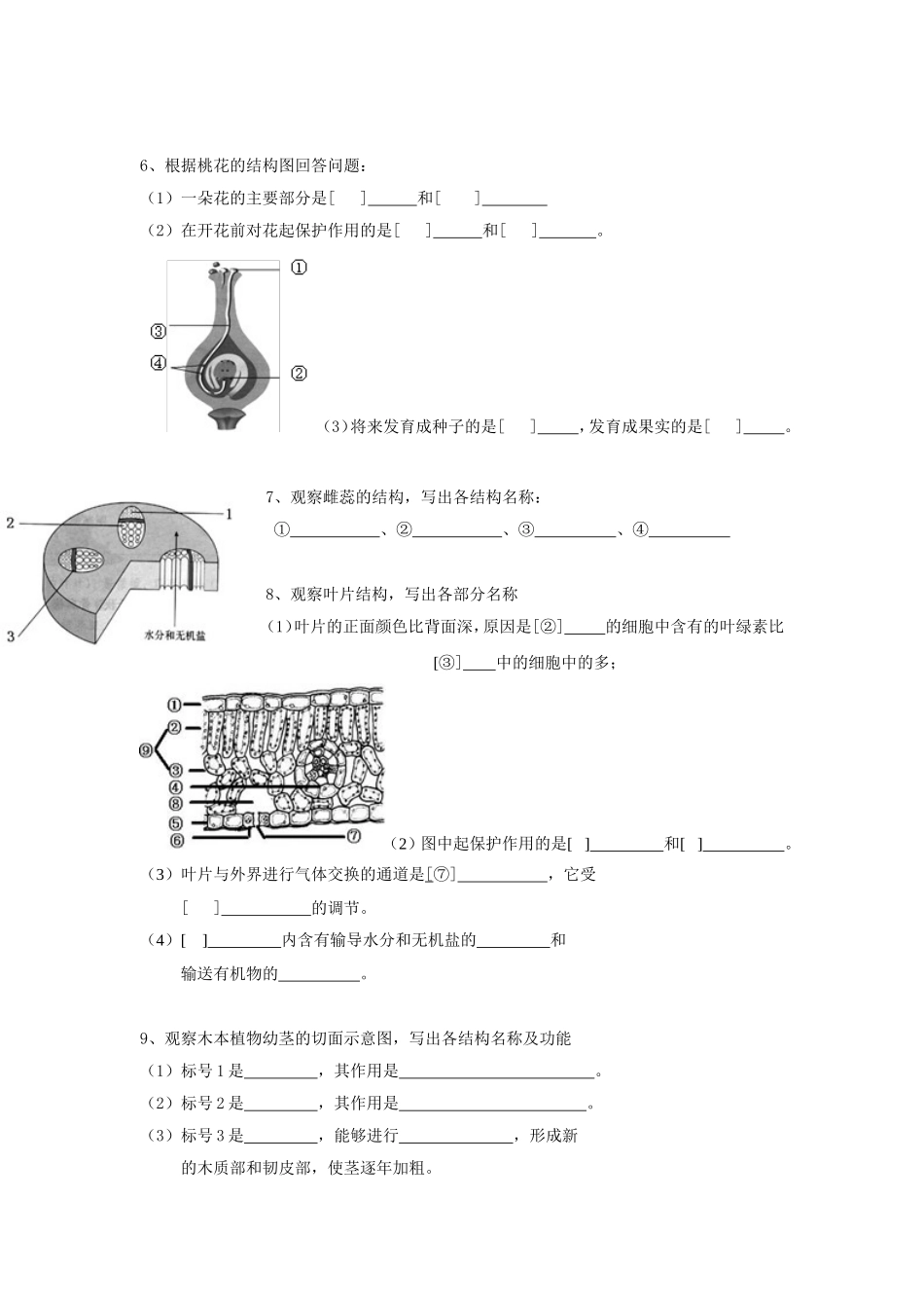 初中生物填图复习_第3页