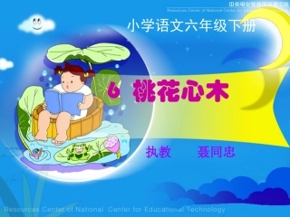 桃花心木PPT课件(1)