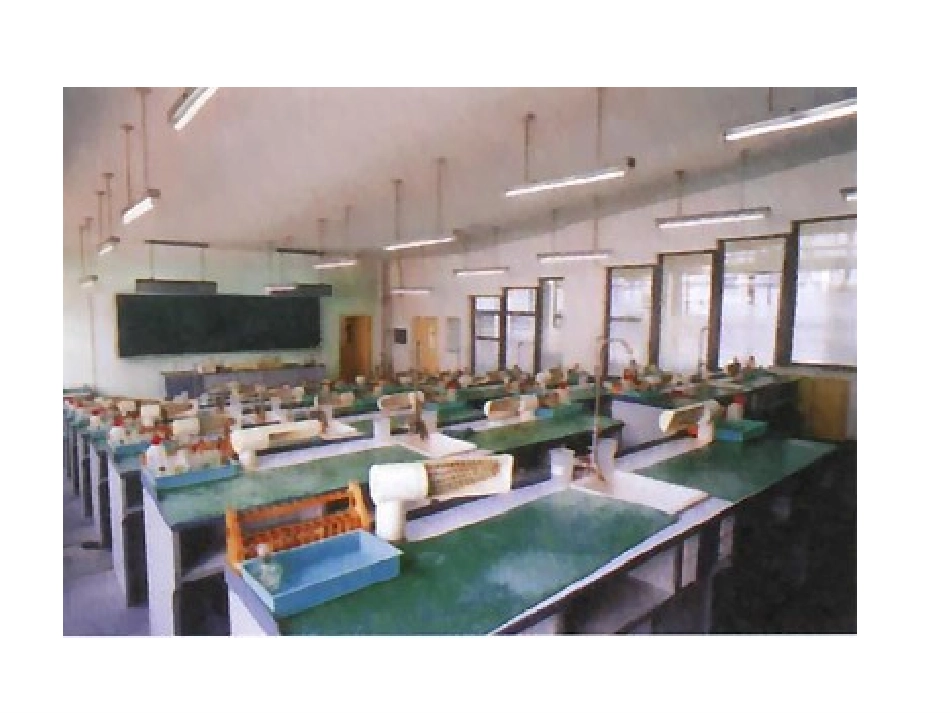 化学实验室的秘密_第2页