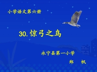 《惊弓之鸟》课件