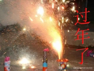 本命年的回想