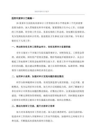 医院年审计计划书