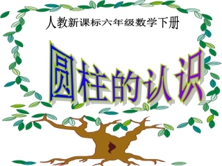 圆柱的认识课件(4)