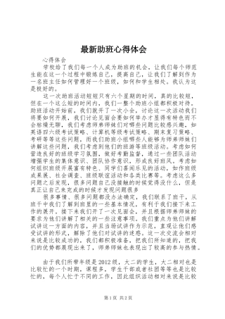 最新助班心得体会