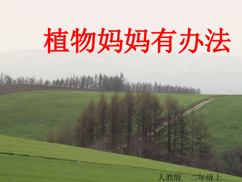 《植物妈妈有办法》课件_第1页