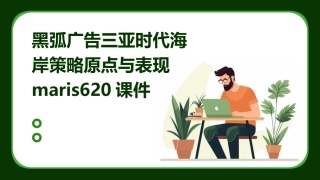 黑弧广告三亚时代海岸策略原点与表现maris620课件