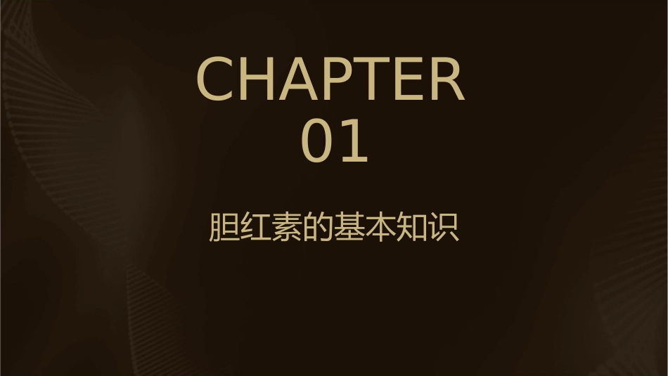 胆红素的生成代谢课件_第3页