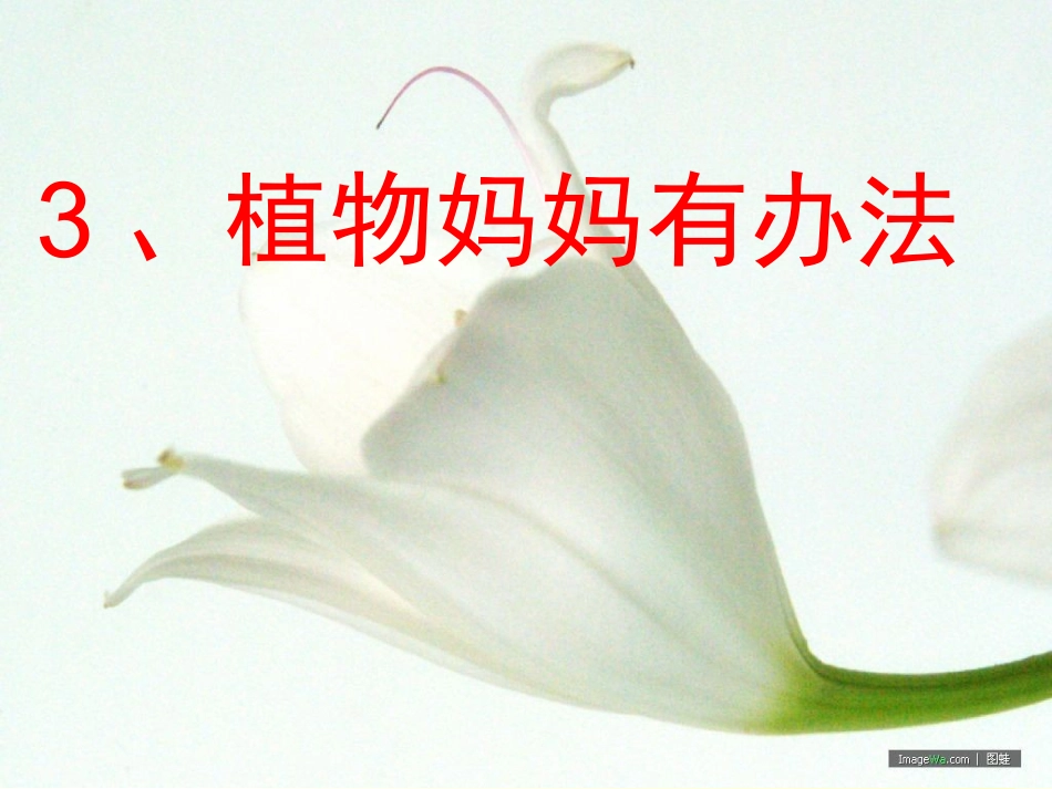 植物妈妈有办法 (4)_第1页