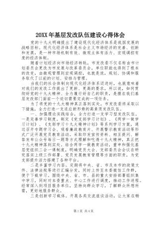 20XX年基层发改队伍建设心得体会