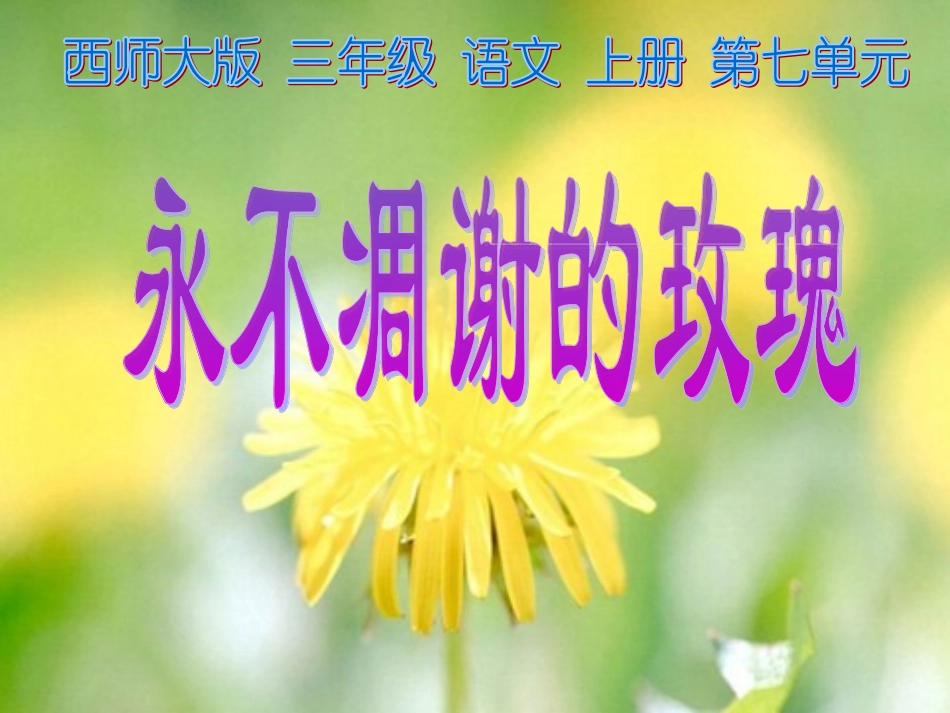 西师版小学三年级上册语文第32课《永不凋谢的玫瑰PPT课件》_第1页