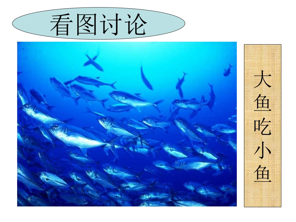 竞争不忘合作_第3页