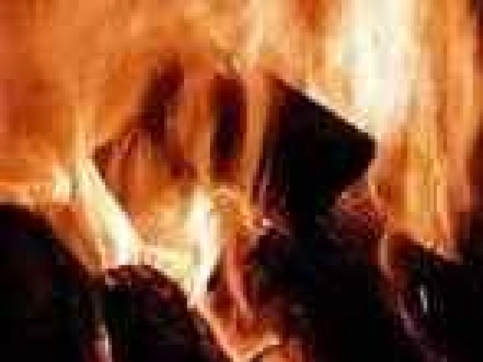 光的反射第一课件课时_第3页