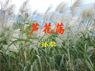 《芦花荡》教学课件5