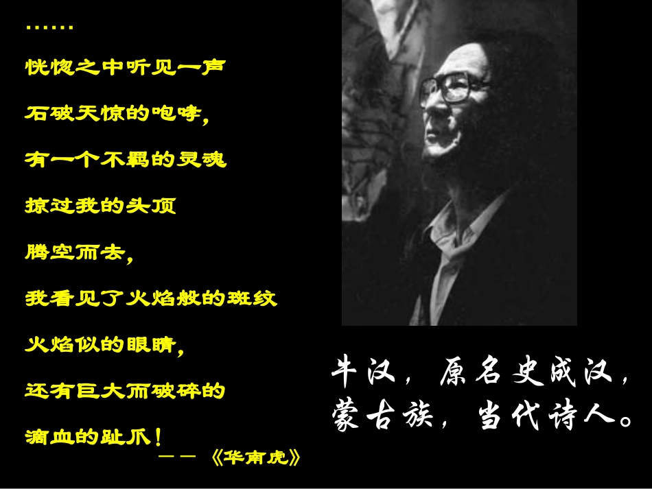 我的第一本书_第1页